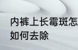 内裤上长霉斑怎么去除 内裤上长霉斑如何去除