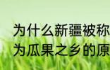 为什么新疆被称为瓜果之乡 新疆被称为瓜果之乡的原因