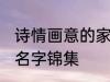 诗情画意的家族名字 诗情画意的家族名字锦集