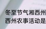 冬至节气湘西州农事活动 冬至节气湘西州农事活动是什么