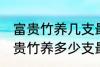 富贵竹养几支最旺运办公室 办公室富贵竹养多少支最旺运