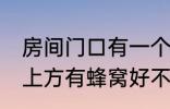 房间门口有一个蜂窝是什么兆头 门口上方有蜂窝好不好