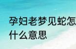 孕妇老梦见蛇怎么回事 孕妇梦见蛇是什么意思