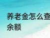 养老金怎么查询余额 养老金如何查询余额