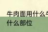 牛肉面用什么牛肉部位 牛肉面用牛肉什么部位