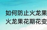 如何防止火龙果花期花变黄 怎样防止火龙果花期花变黄