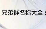 兄弟群名称大全 好听霸道兄弟群名称