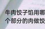 牛肉饺子馅用哪个部位的牛肉 牛的那个部分的肉做饺子馅比较好吃