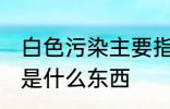 白色污染主要指的是什么 白色污染的是什么东西