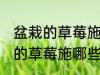 盆栽的草莓施什么肥好不要化肥 盆栽的草莓施哪些肥好不要化肥