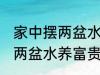 家中摆两盆水养富贵竹好不好 家中摆两盆水养富贵竹可以吗