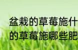 盆栽的草莓施什么肥好不要化肥 盆栽的草莓施哪些肥好不要化肥