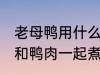 老母鸭用什么煲汤最好 哪些食物可以和鸭肉一起煮汤