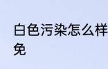 白色污染怎么样避免 白色污染如何避免