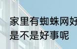 家里有蜘蛛网好事坏事 家里有蜘蛛网是不是好事呢