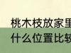 桃木枝放家里什么位置 桃木枝放家里什么位置比较好