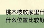 桃木枝放家里什么位置 桃木枝放家里什么位置比较好